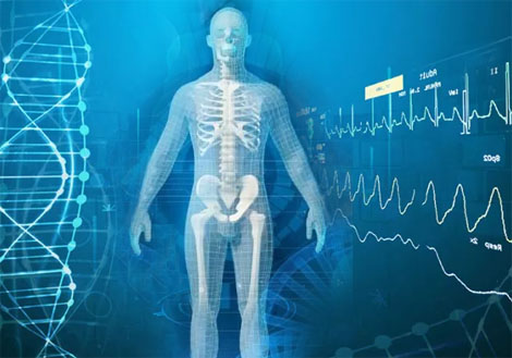 Image: Minimal Biohacking