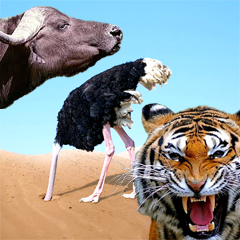 Изображение: Базовые психологические реакции на стресс